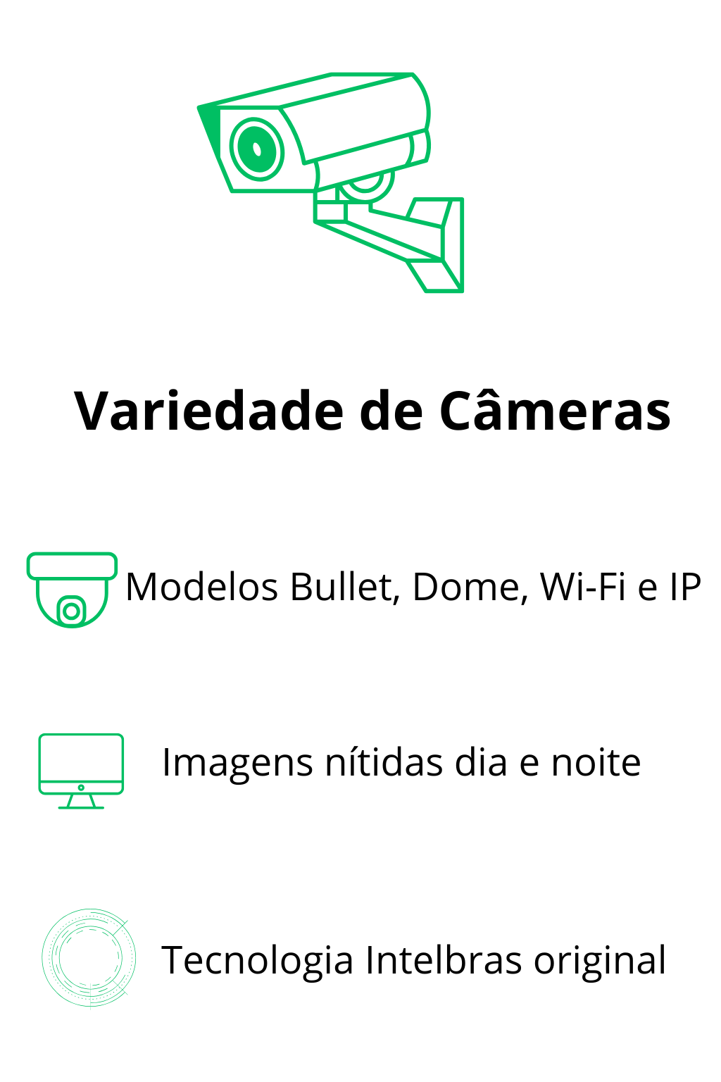 Cameras de Segurança